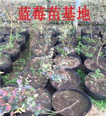 产品删除页