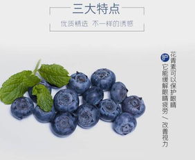蓝莓,这一颗无法割舍的蓝色美食诱惑